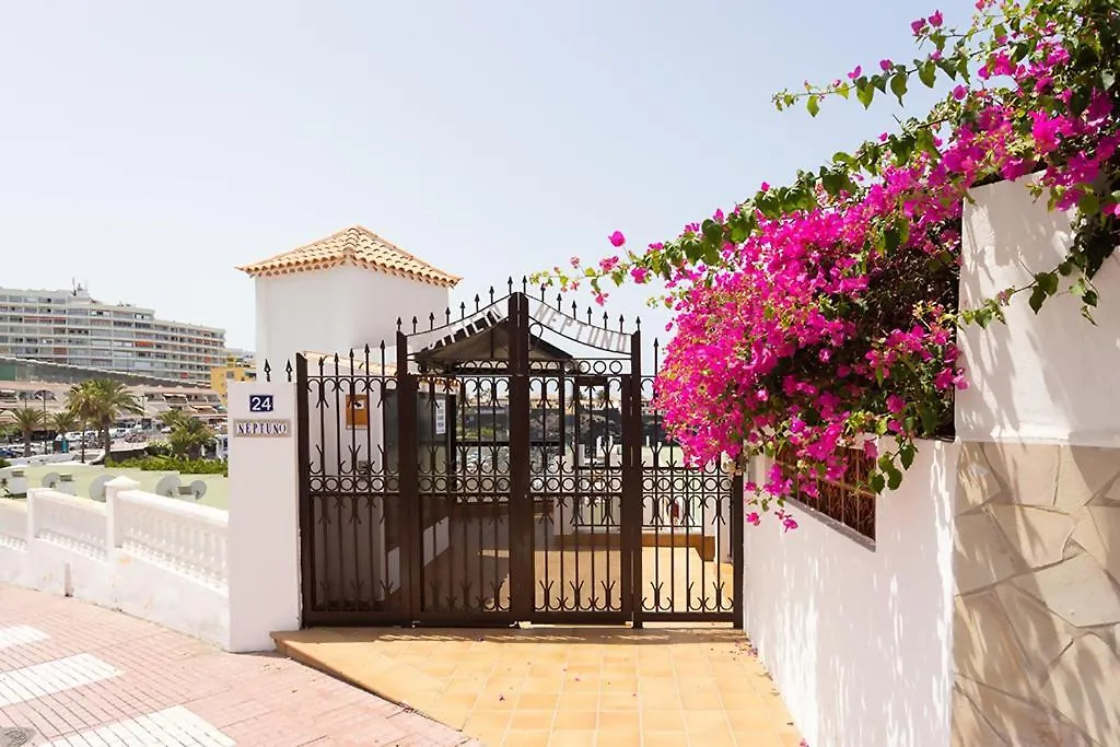 Apartment Ferienwohnung Neptuno Ocean Experience By Sydney Puerto de Santiago